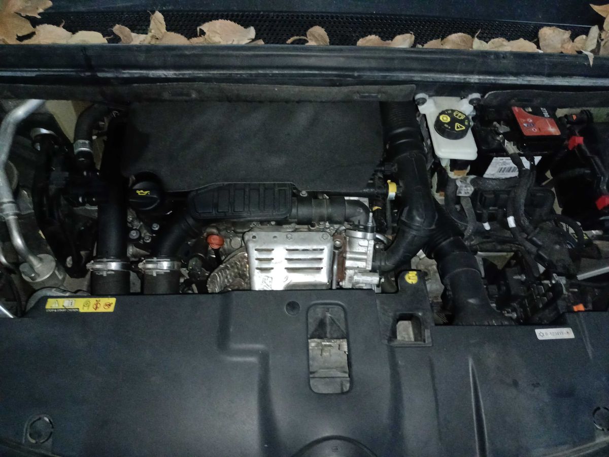 Motor