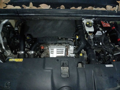 Motor