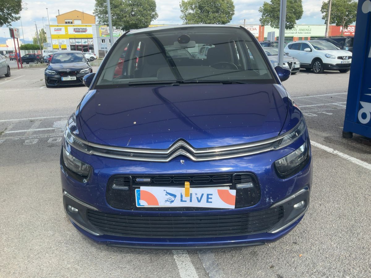 Frontal