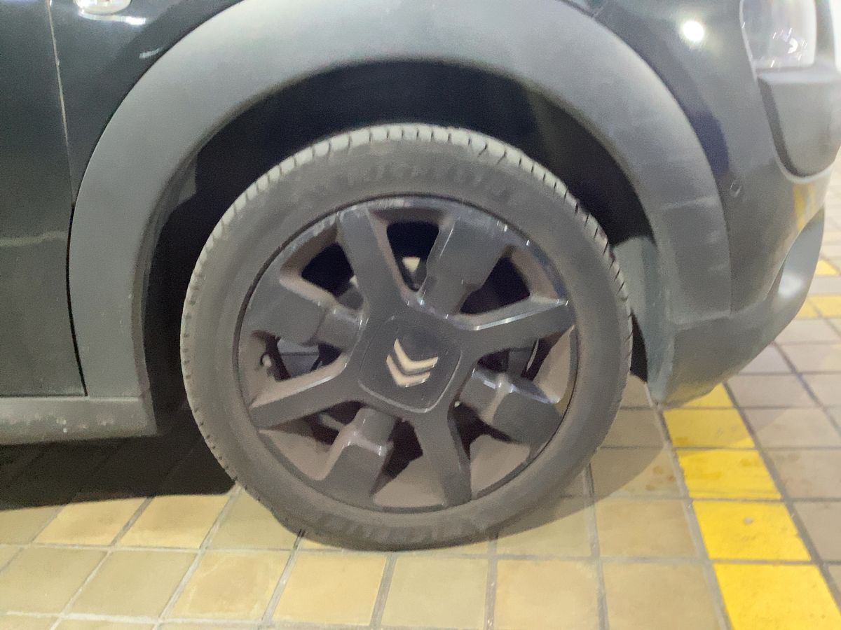 Neumático delantero derecho