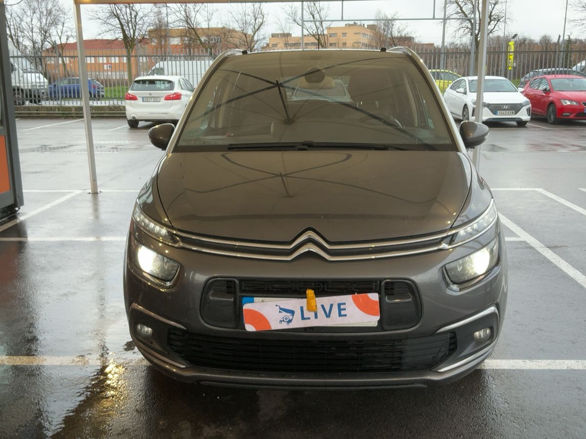 Frontal
