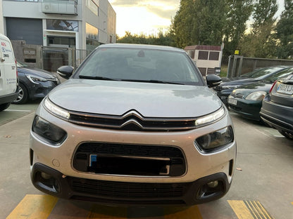 Frontal