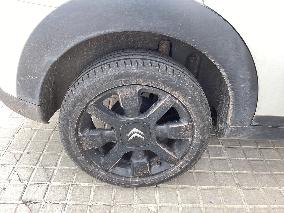 Neumático trasero derecho