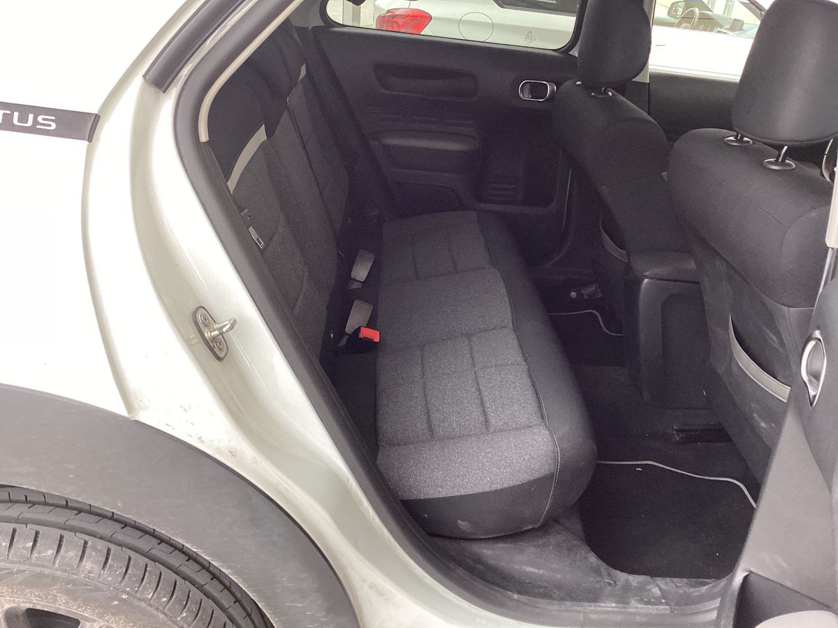 Interior trasero