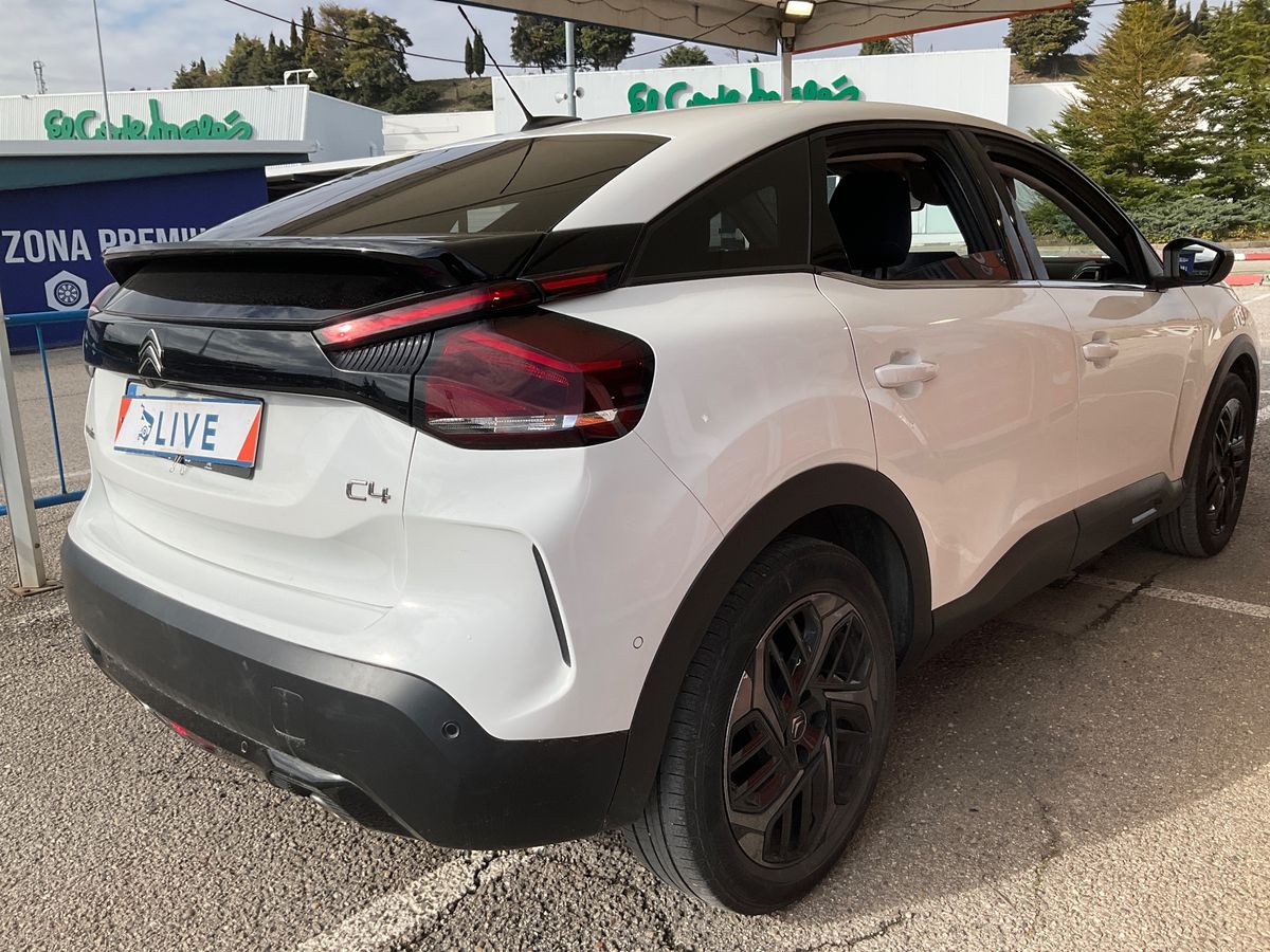 Parte trasera derecha