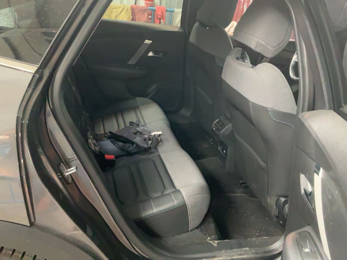 Interior trasero
