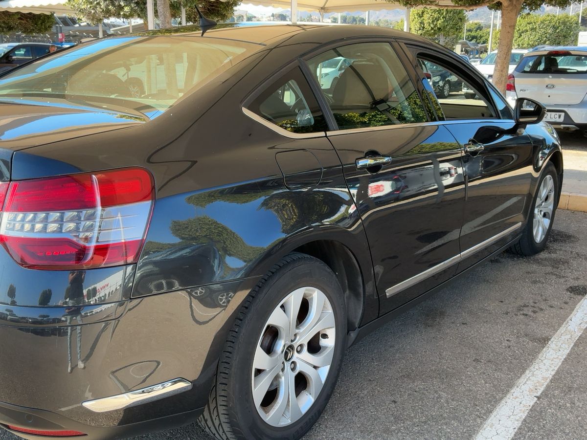 Parte trasera derecha