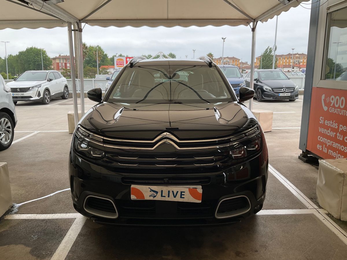 Frontal