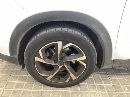 Neumático delantero izquierdo