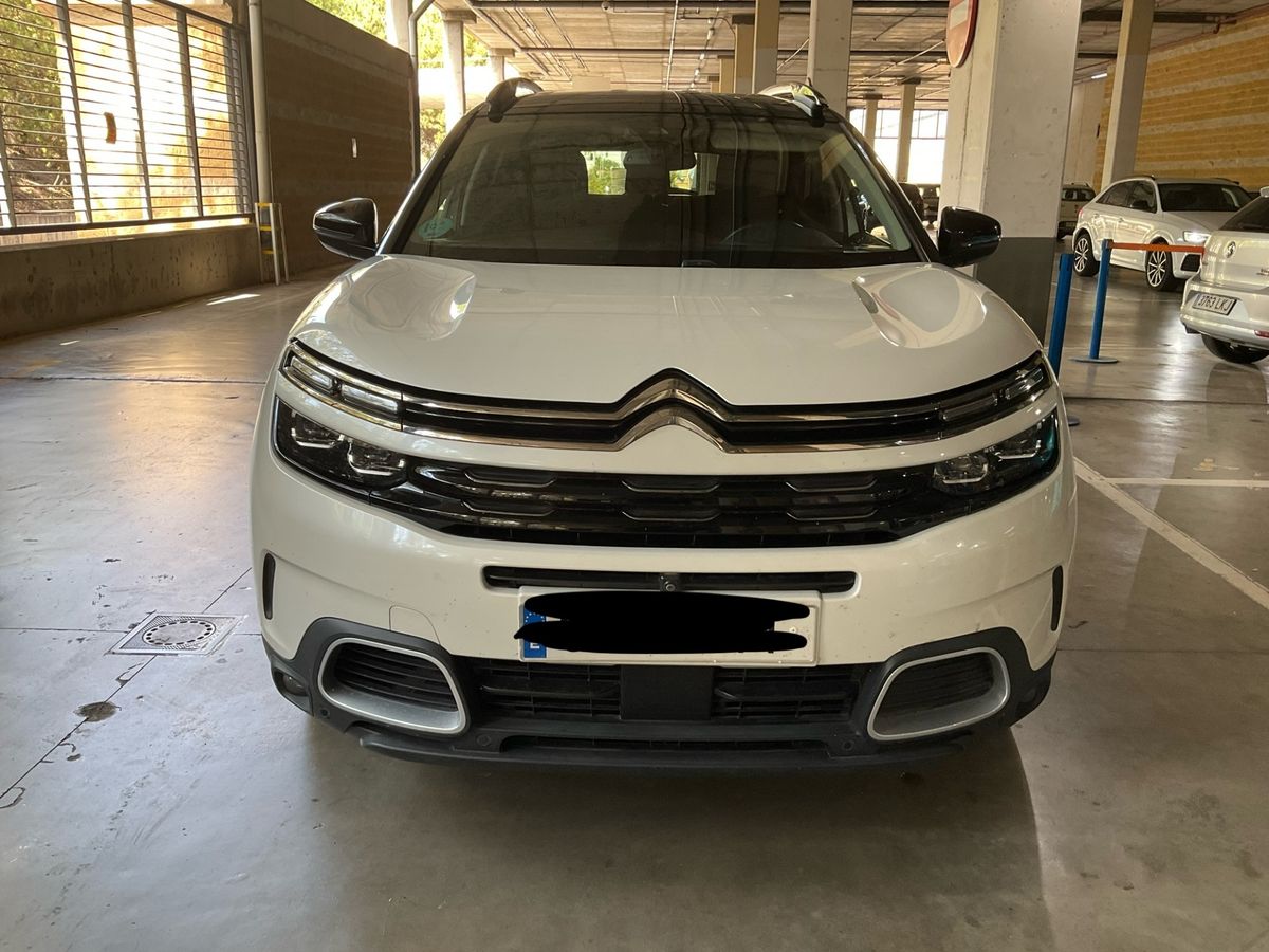 Frontal
