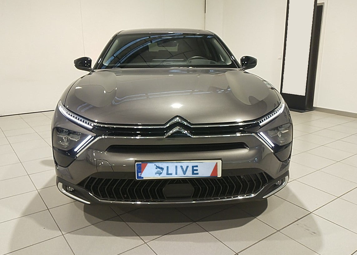 Frontal