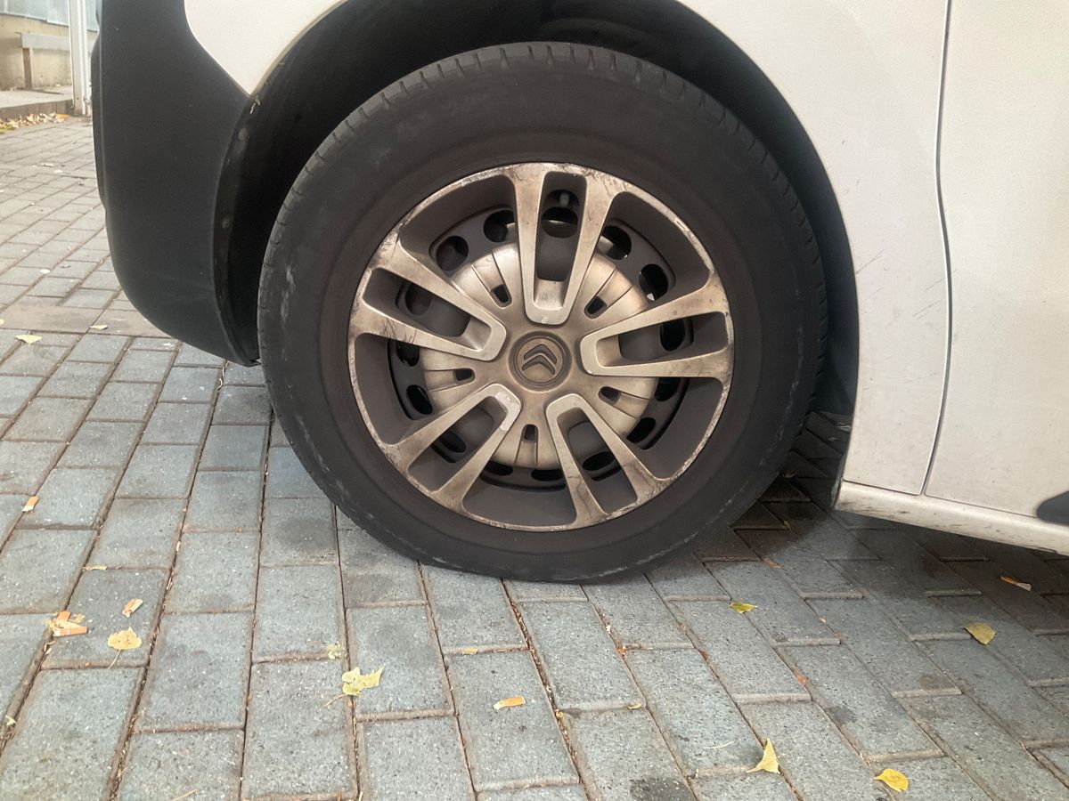 Neumático delantero izquierdo