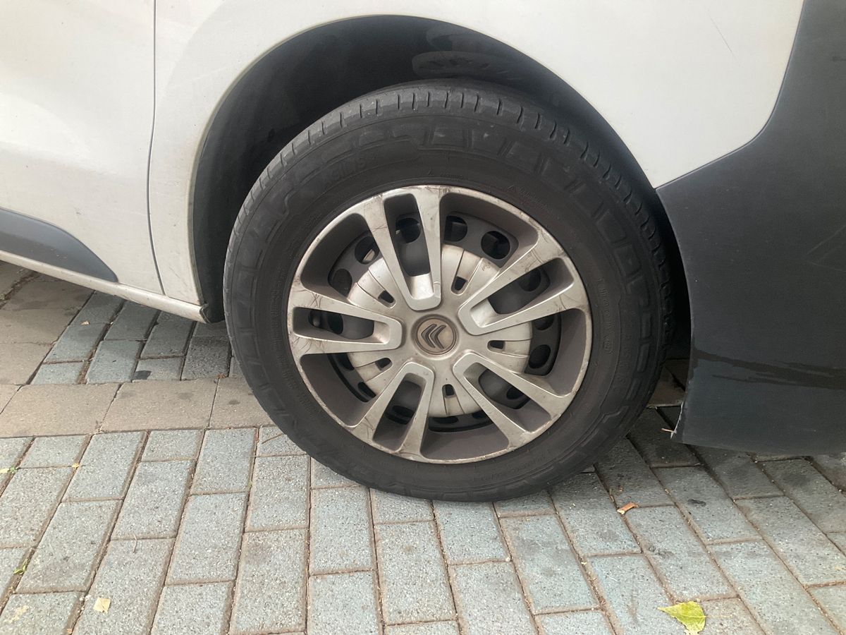 Neumático delantero derecho