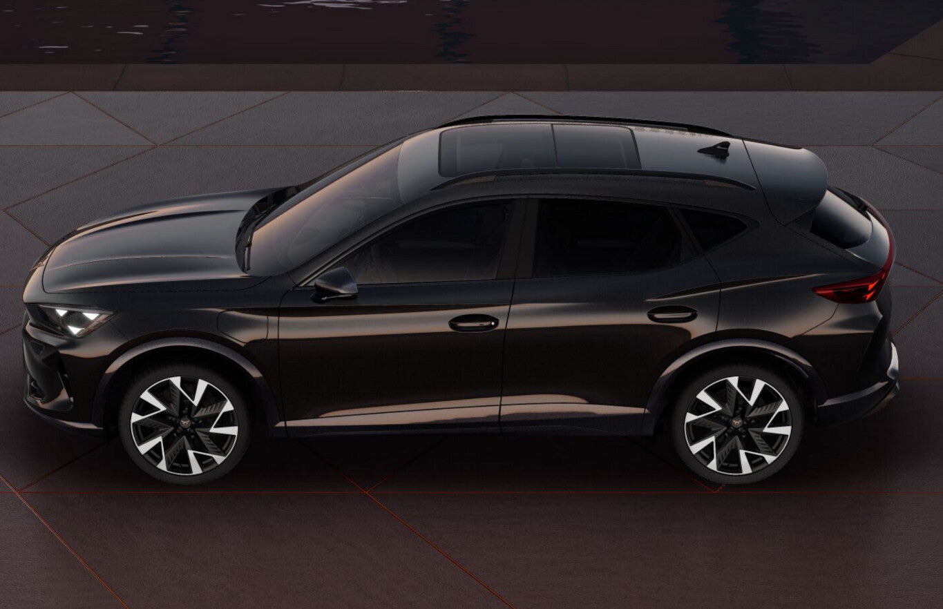 Cupra Formentor VZ 2.0 TSI 333 Pano Memory eHk SHZ Kam 115201880 1
