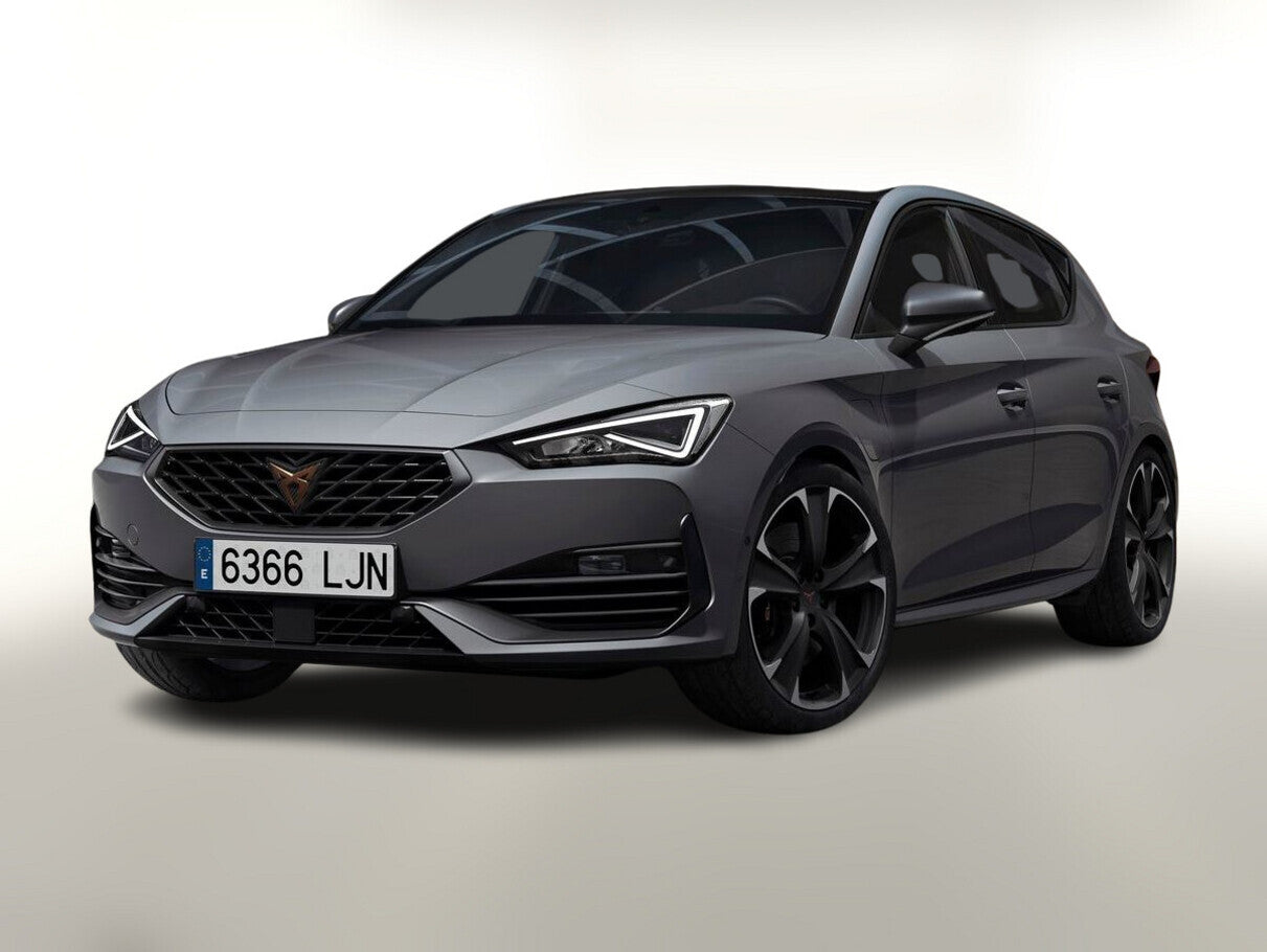 Cupra Leon VZ 2.0 TSI 300 DSG Pano AssXL Leder MATT 106174035 0