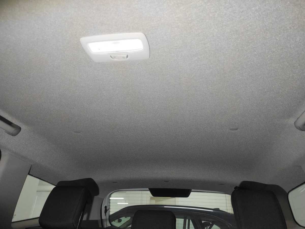 Guarnecido del techo Interior