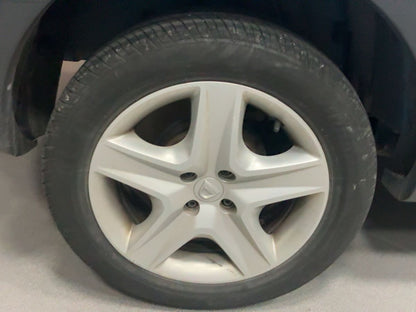 Neumático trasero derecho