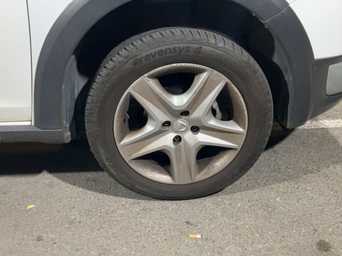 Neumático delantero derecho