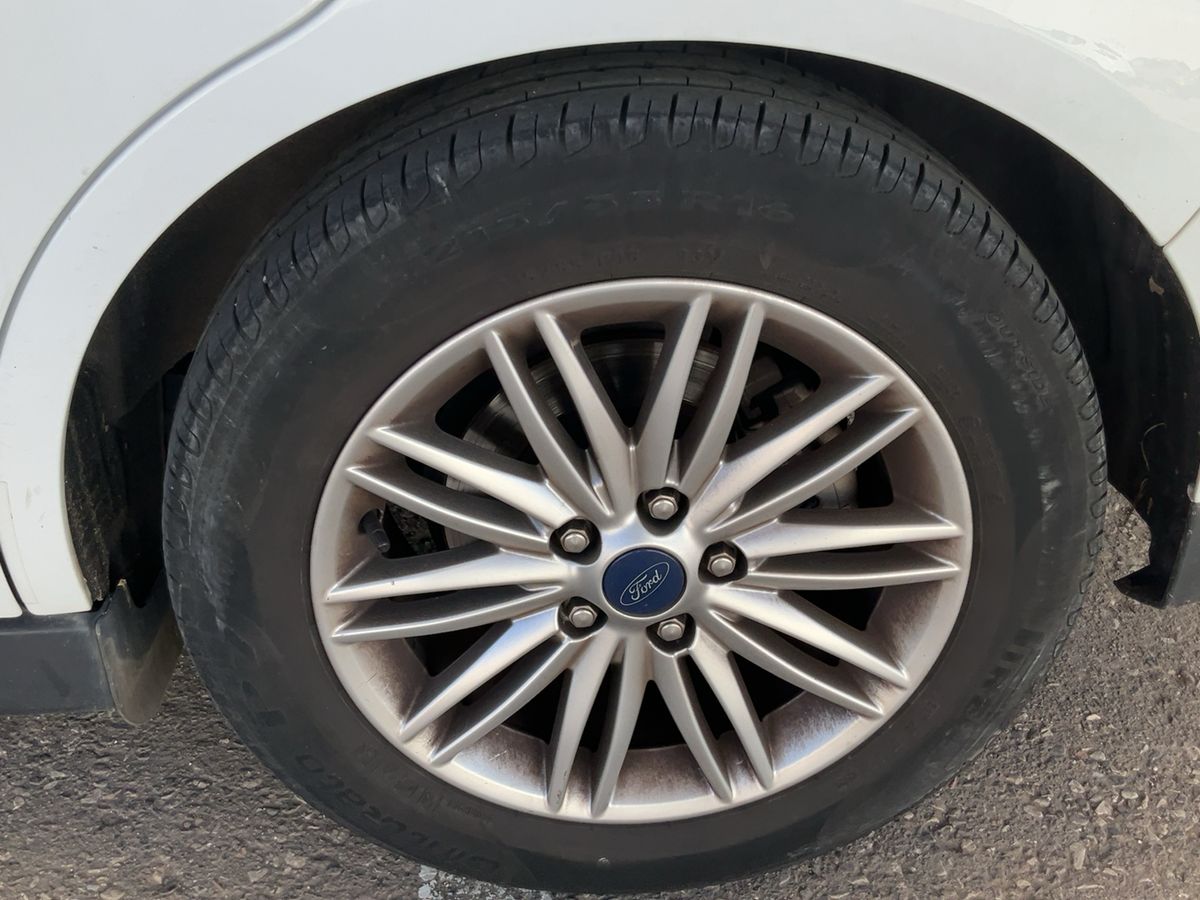 Neumático trasero izquierdo