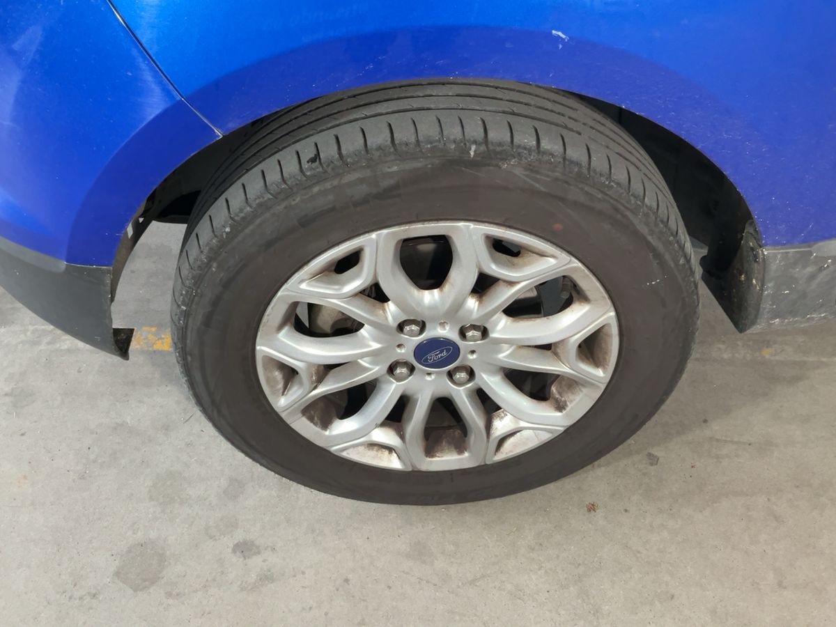 Neumático delantero izquierdo