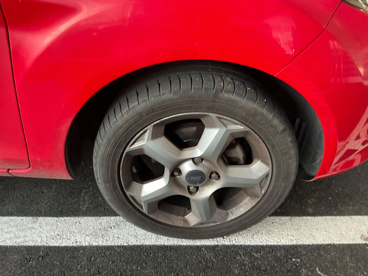 Neumático delantero derecho