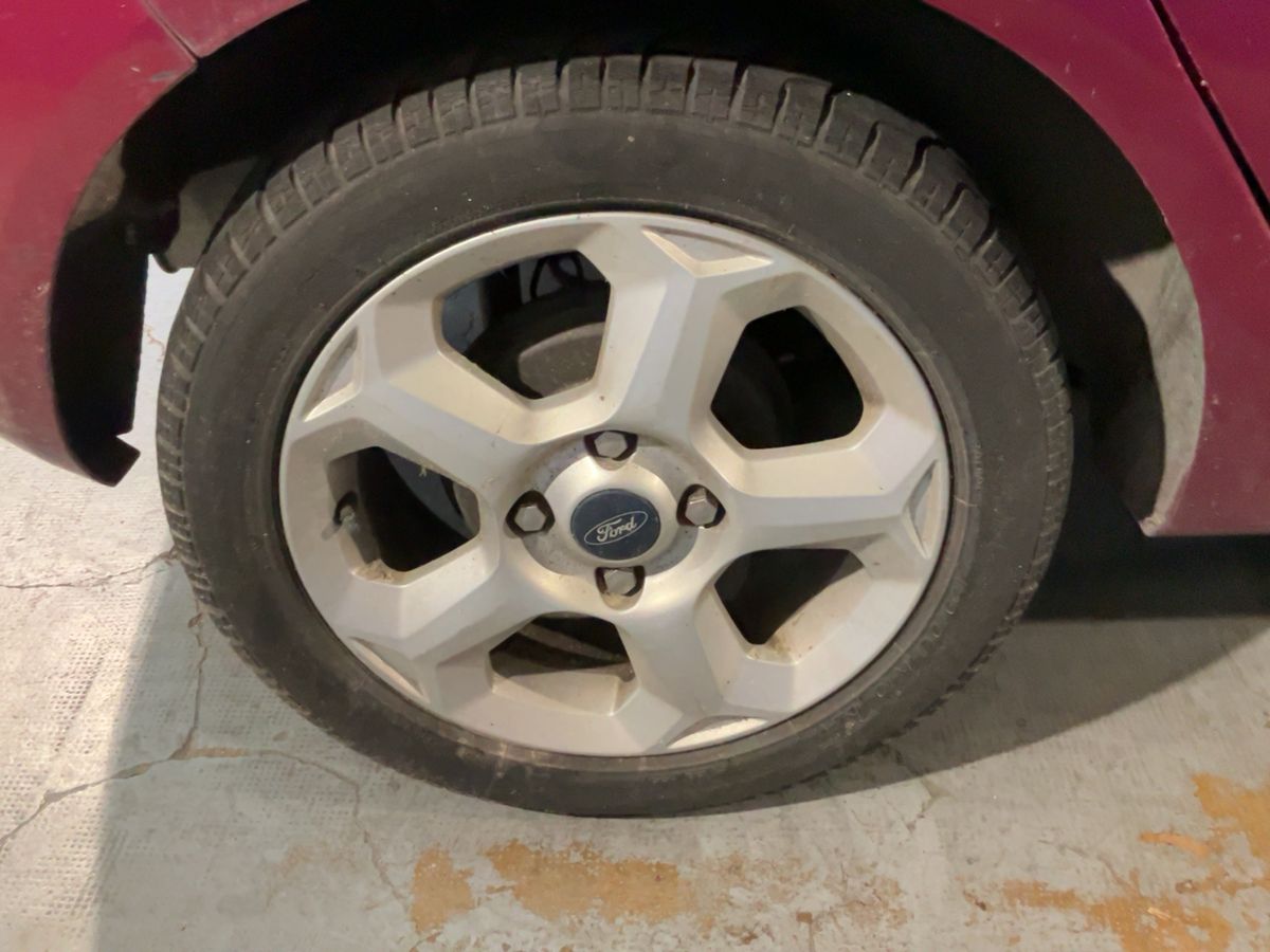 Neumático trasero derecho