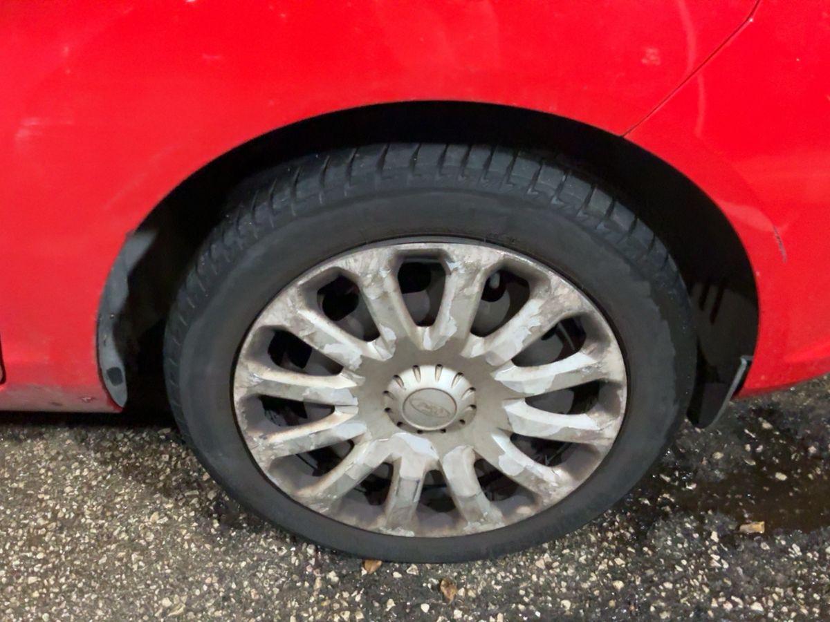 Neumático delantero derecho