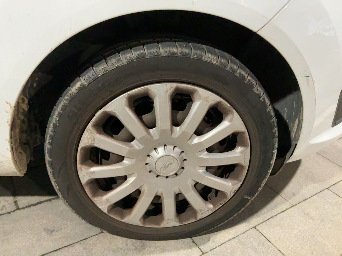 Neumático delantero derecho