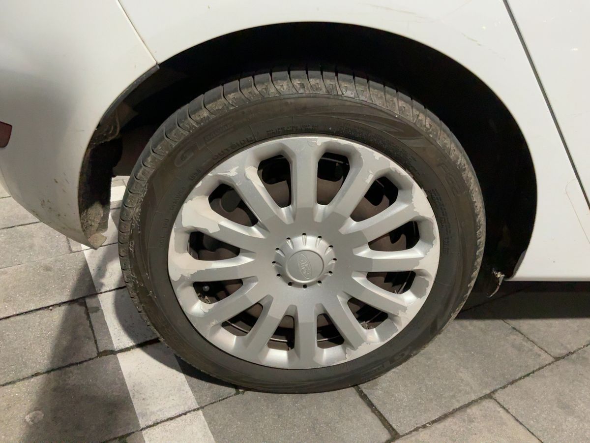 Neumático trasero derecho