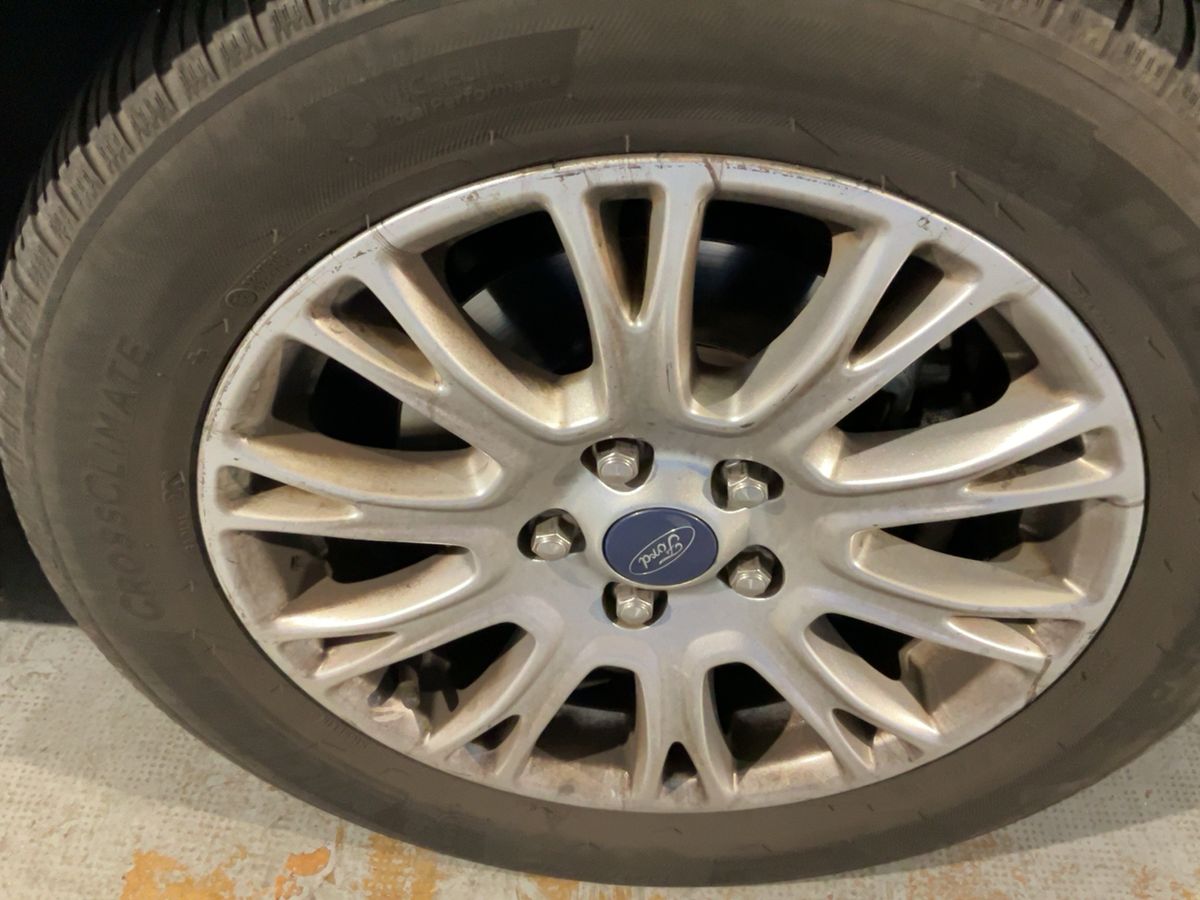 Neumático delantero derecho