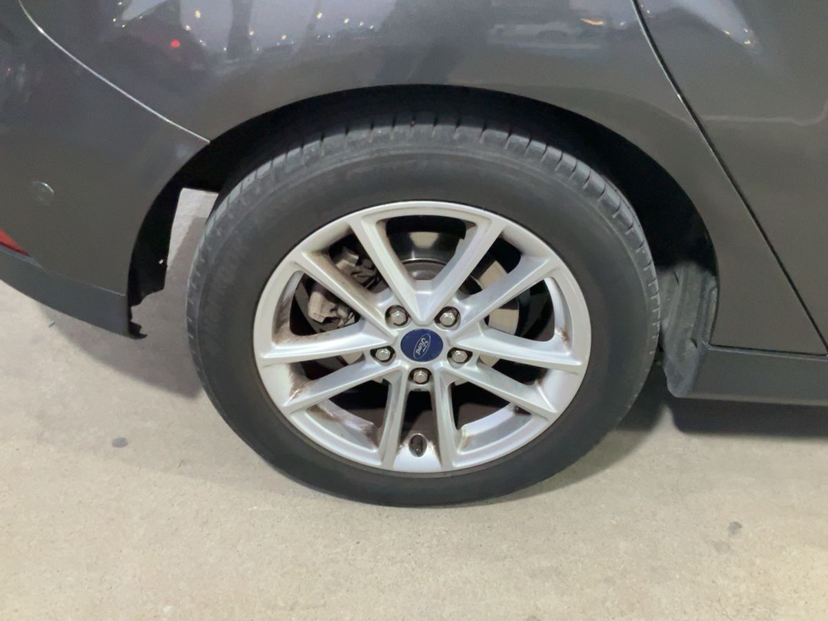 Neumático trasero derecho