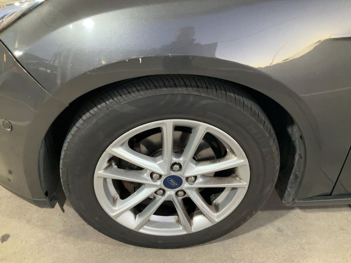 Neumático delantero izquierdo