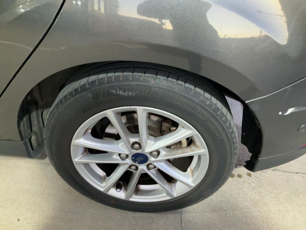 Neumático trasero izquierdo