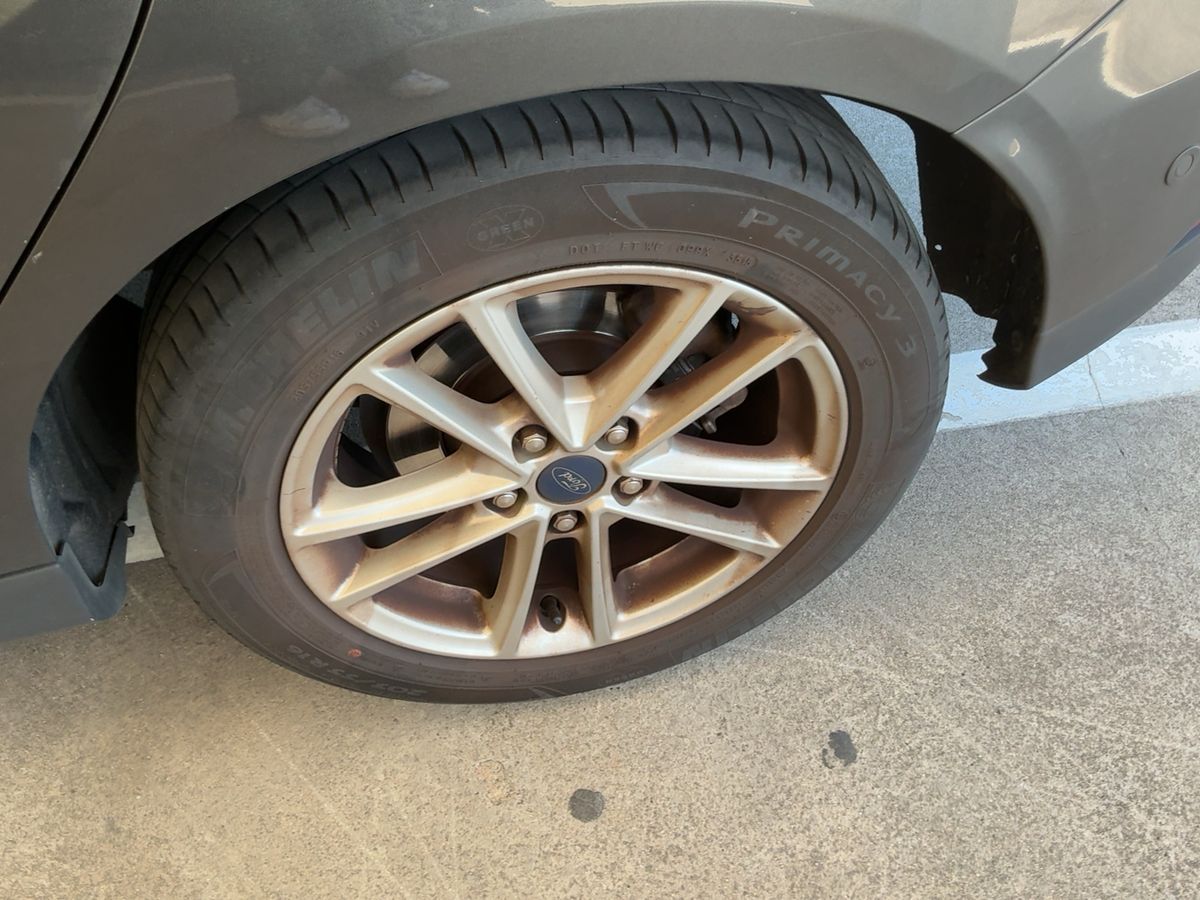 Neumático trasero izquierdo