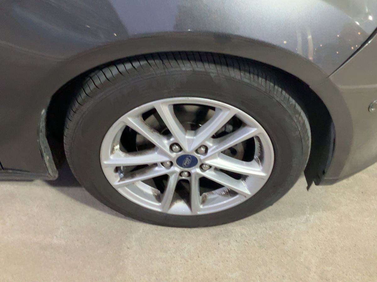 Neumático delantero derecho