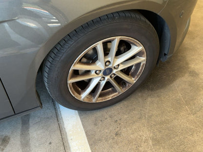 Neumático delantero derecho