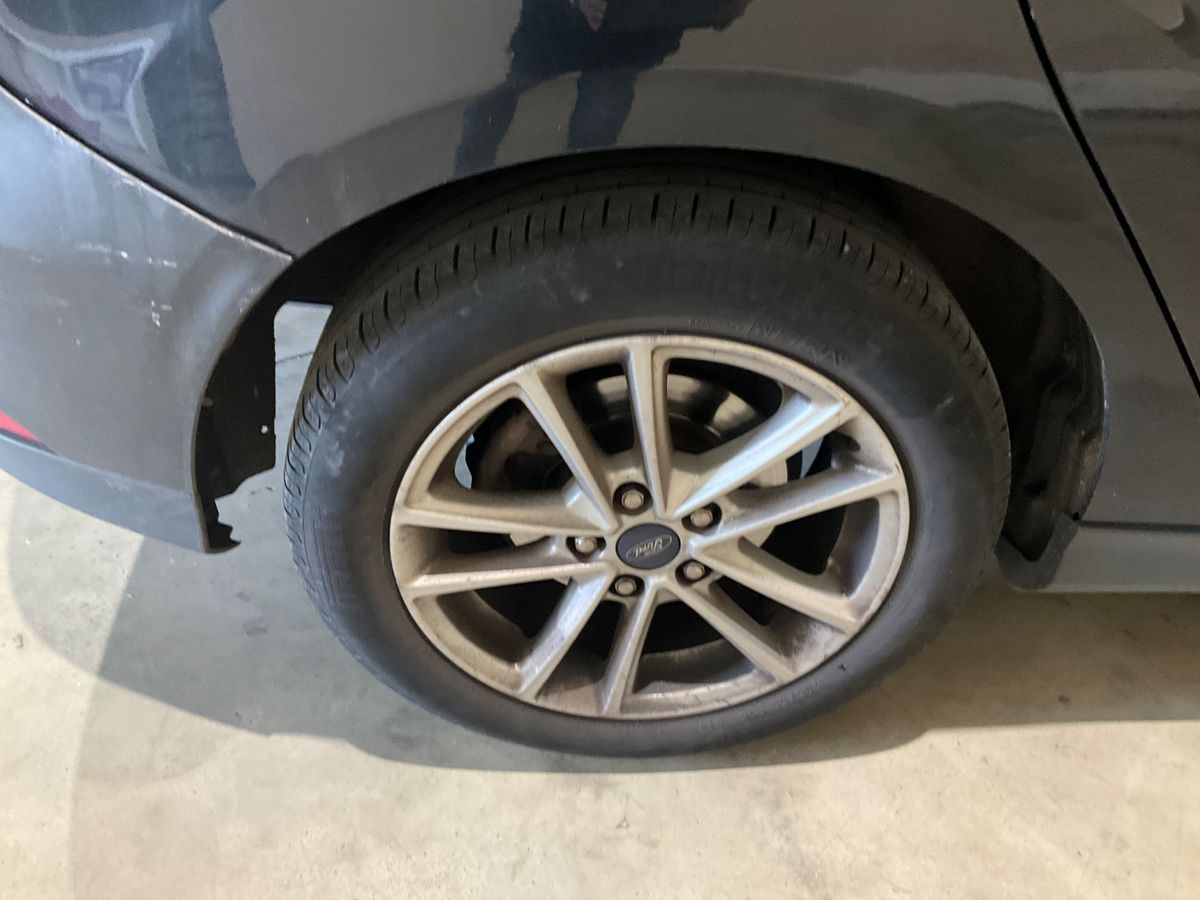 Neumático trasero derecho