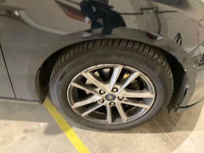 Neumático delantero derecho