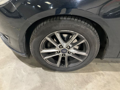 Neumático delantero izquierdo