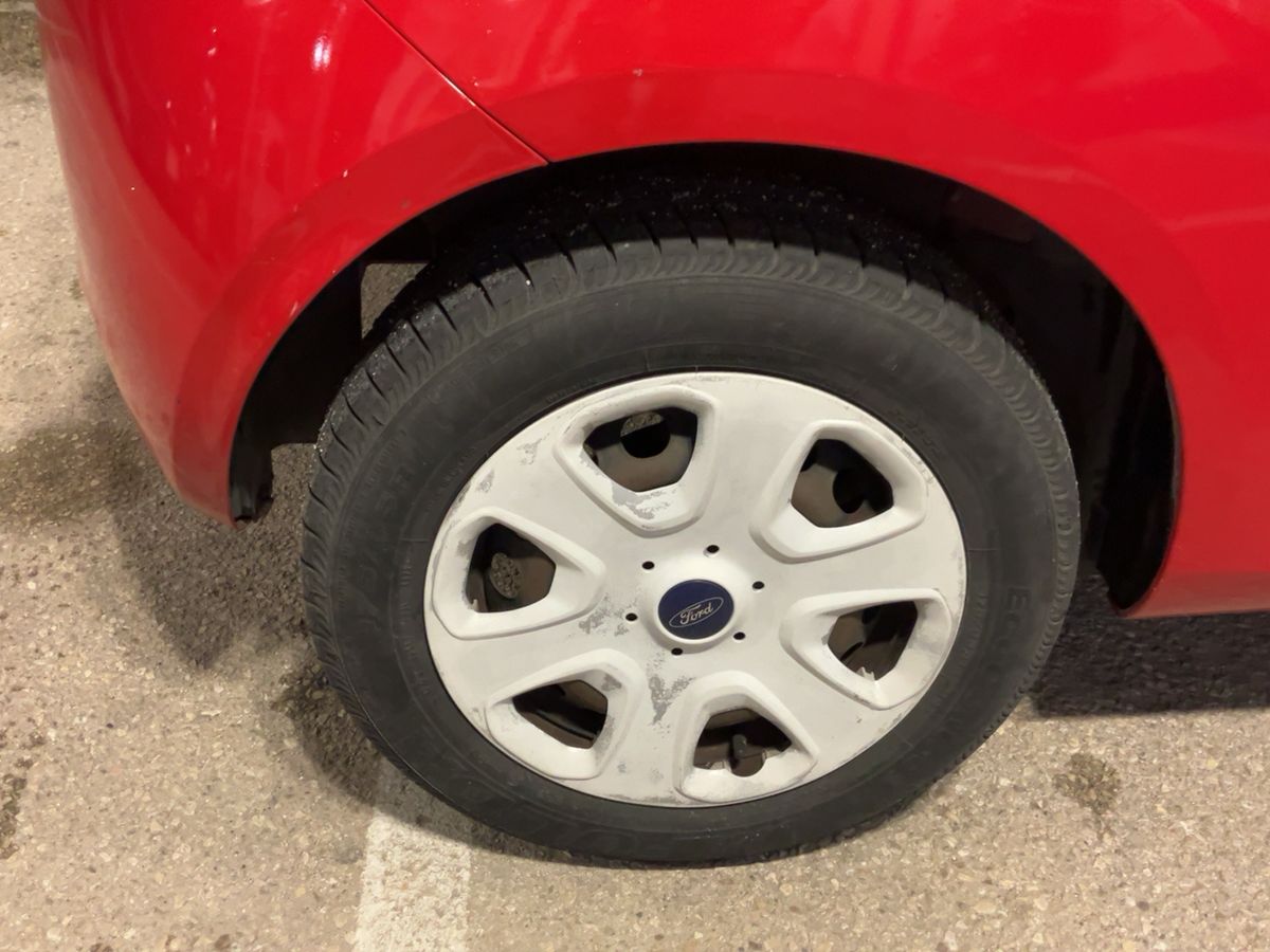 Neumático trasero derecho