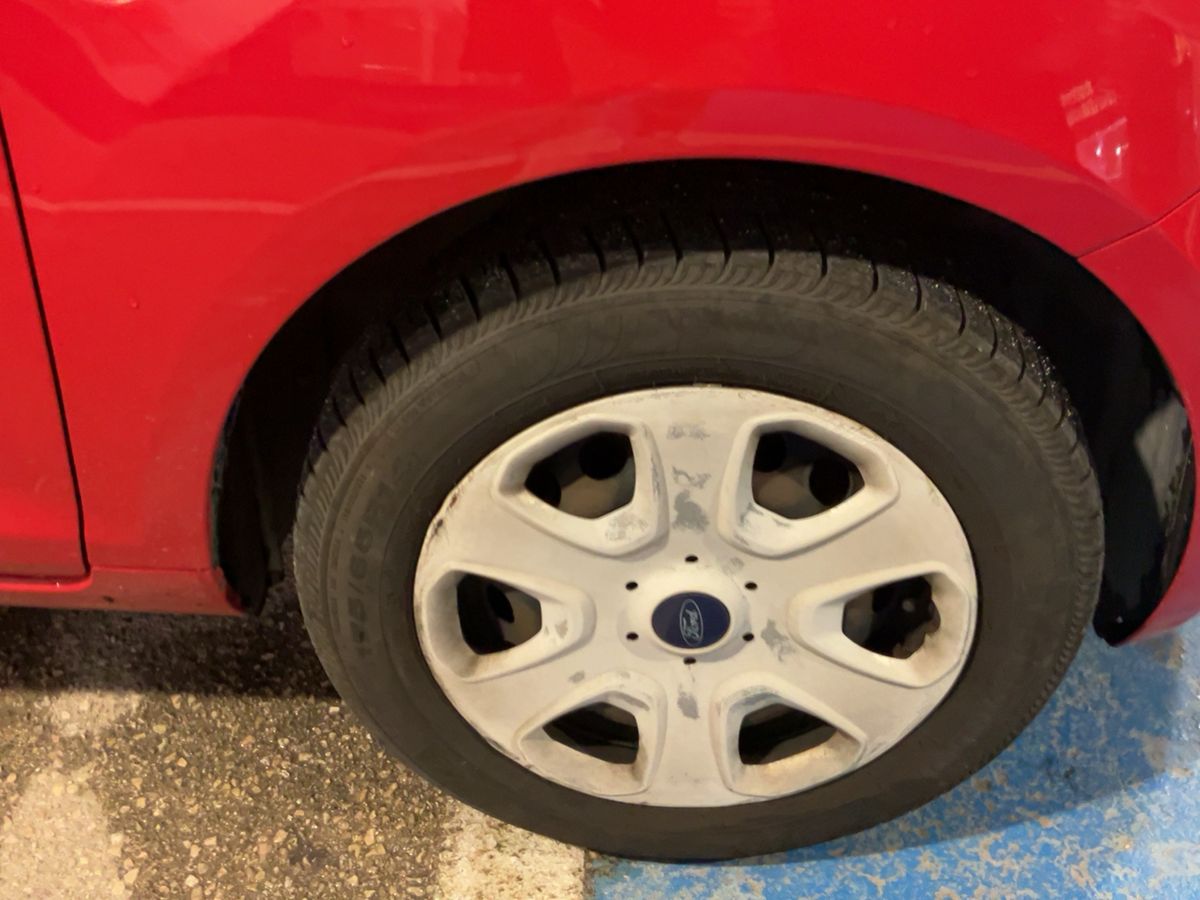 Neumático delantero derecho