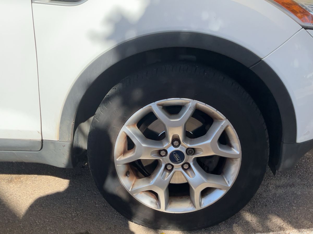 Neumático delantero derecho