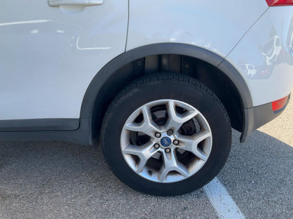 Neumático trasero izquierdo