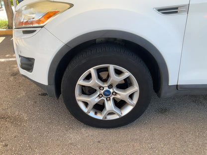 Neumático delantero izquierdo