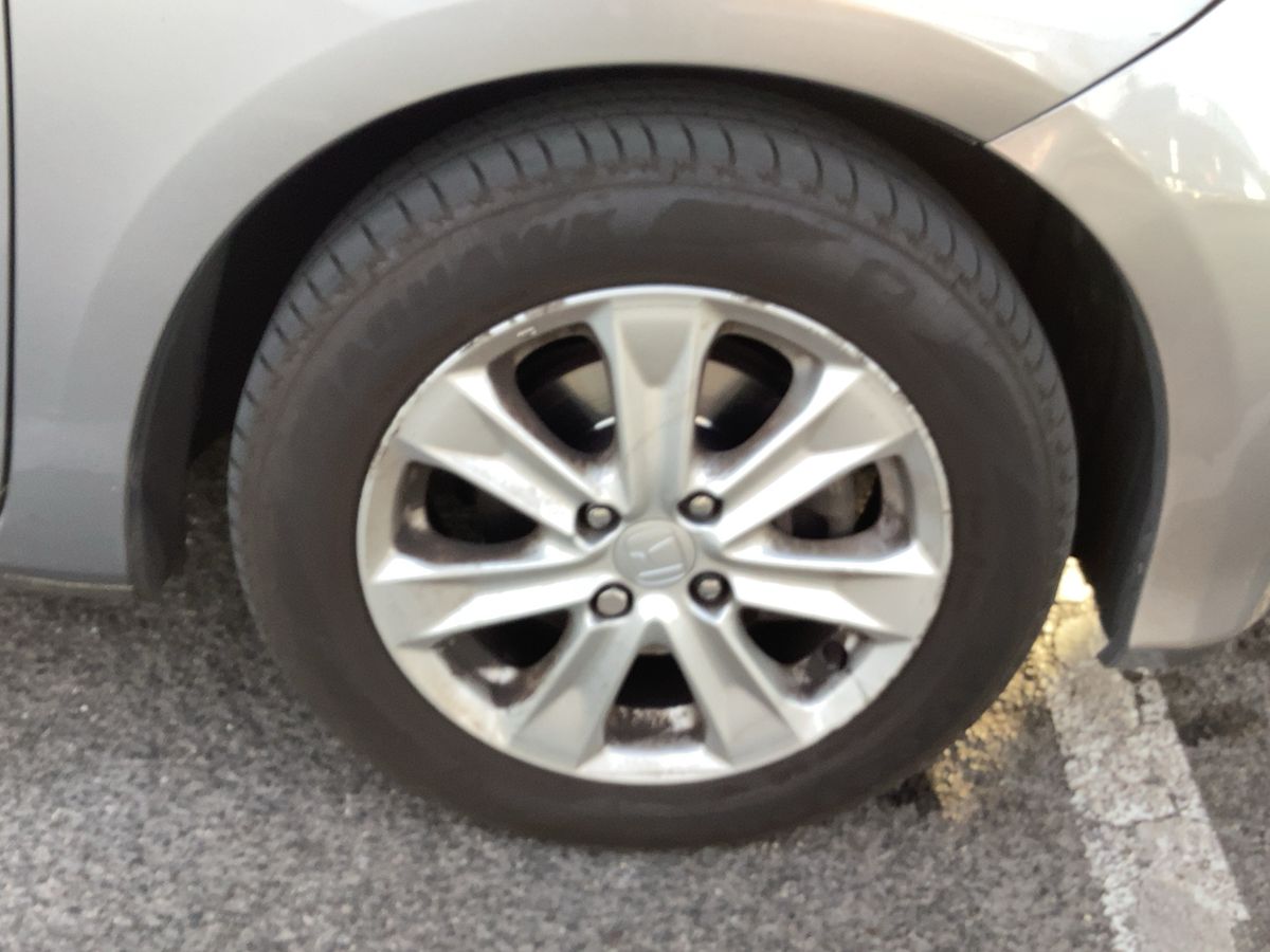 Neumático delantero derecho