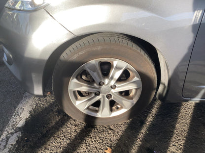 Neumático delantero izquierdo