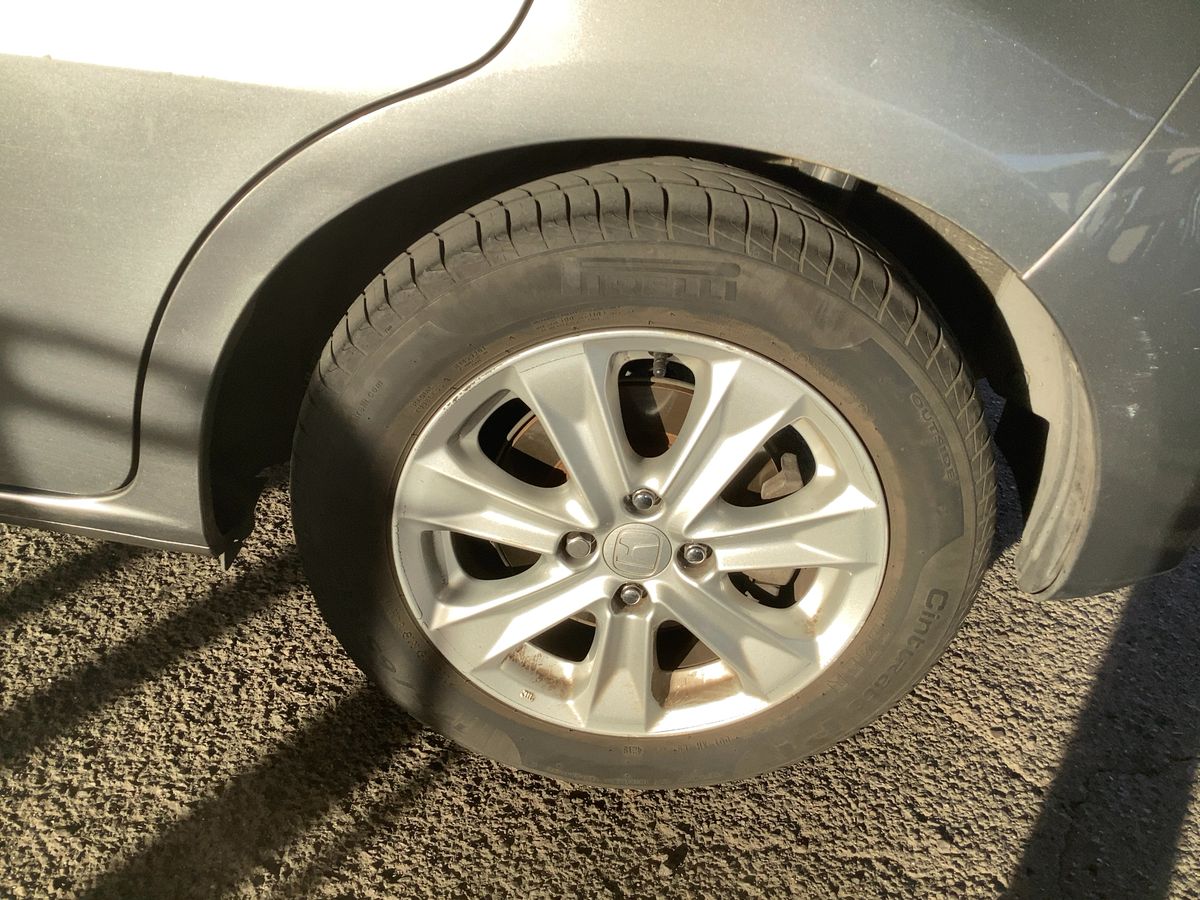 Neumático trasero izquierdo