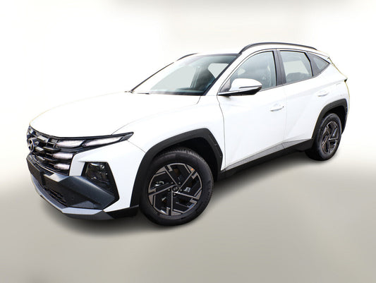 Hyundai Tucson 1.6 T-GDI MHEV 160 Facelift Pano Krell 100331620 0