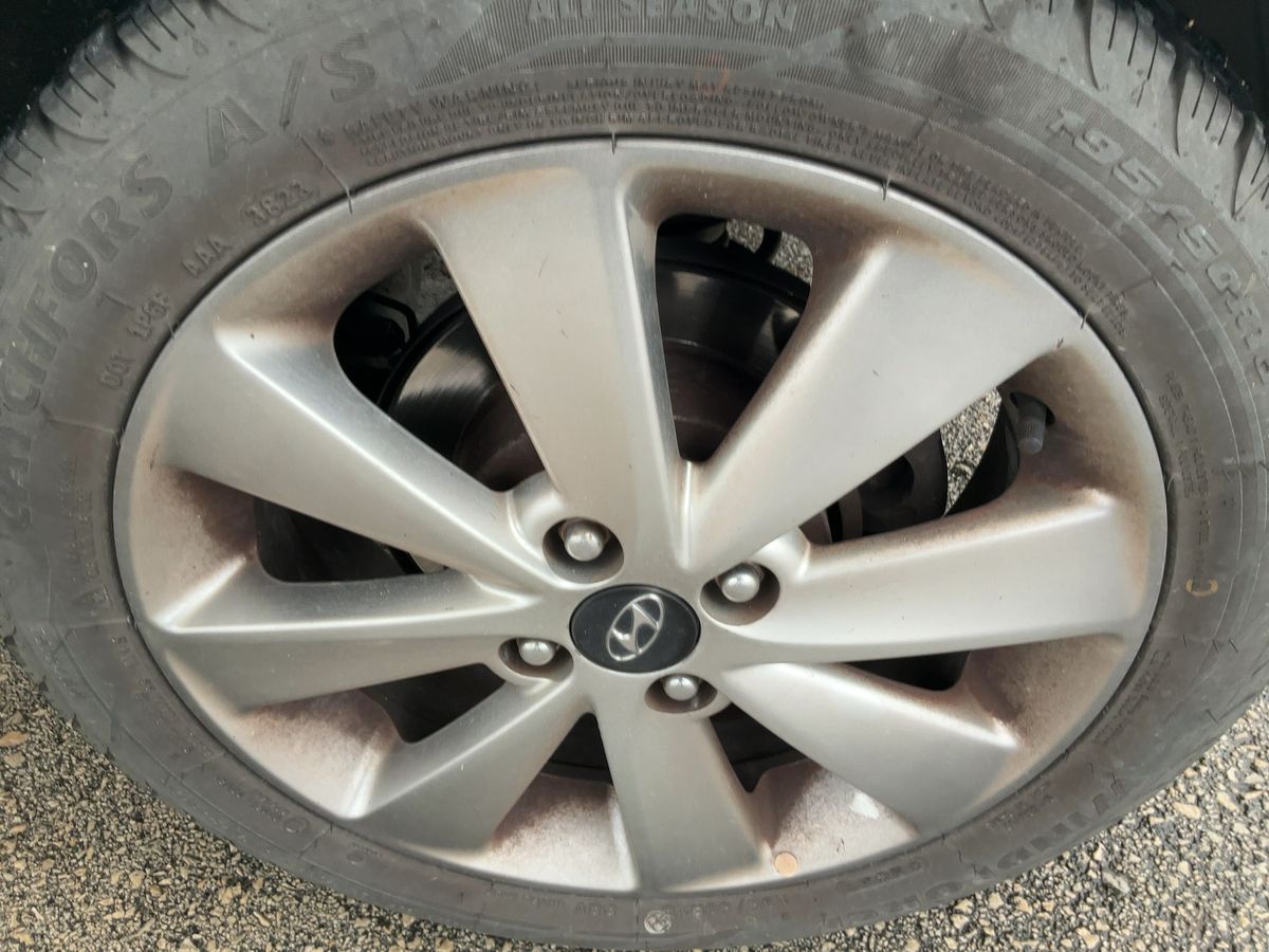 Neumático trasero izquierdo