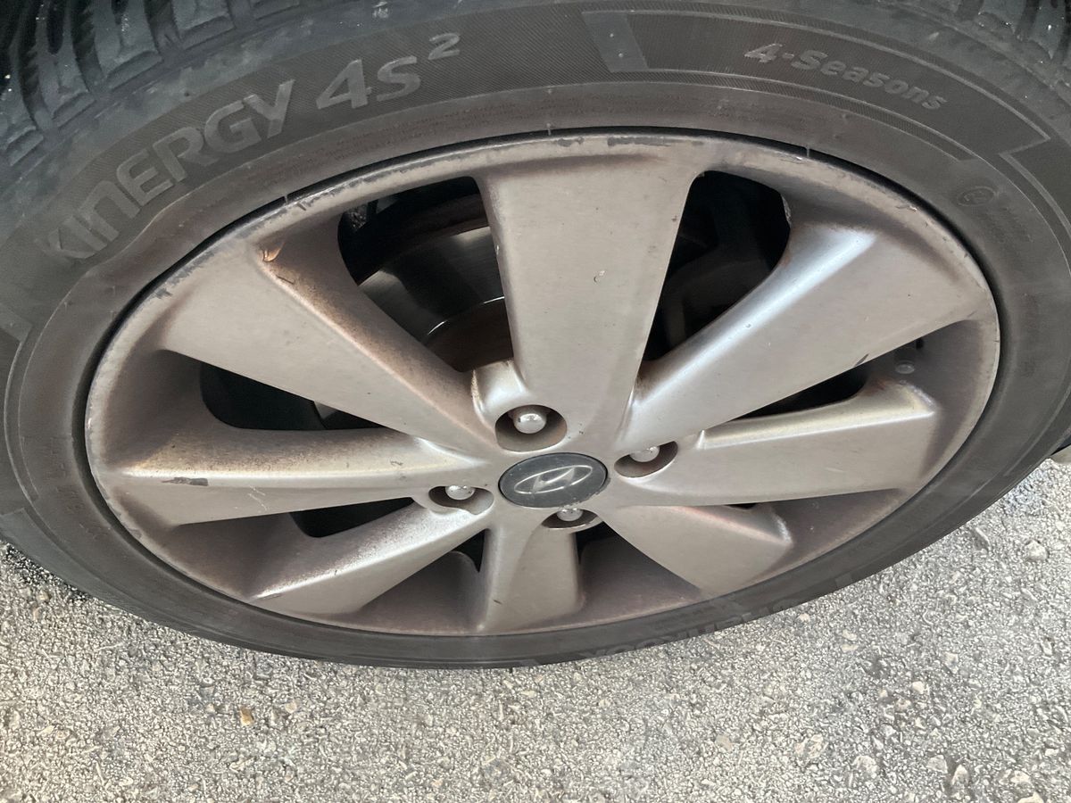 Neumático delantero derecho